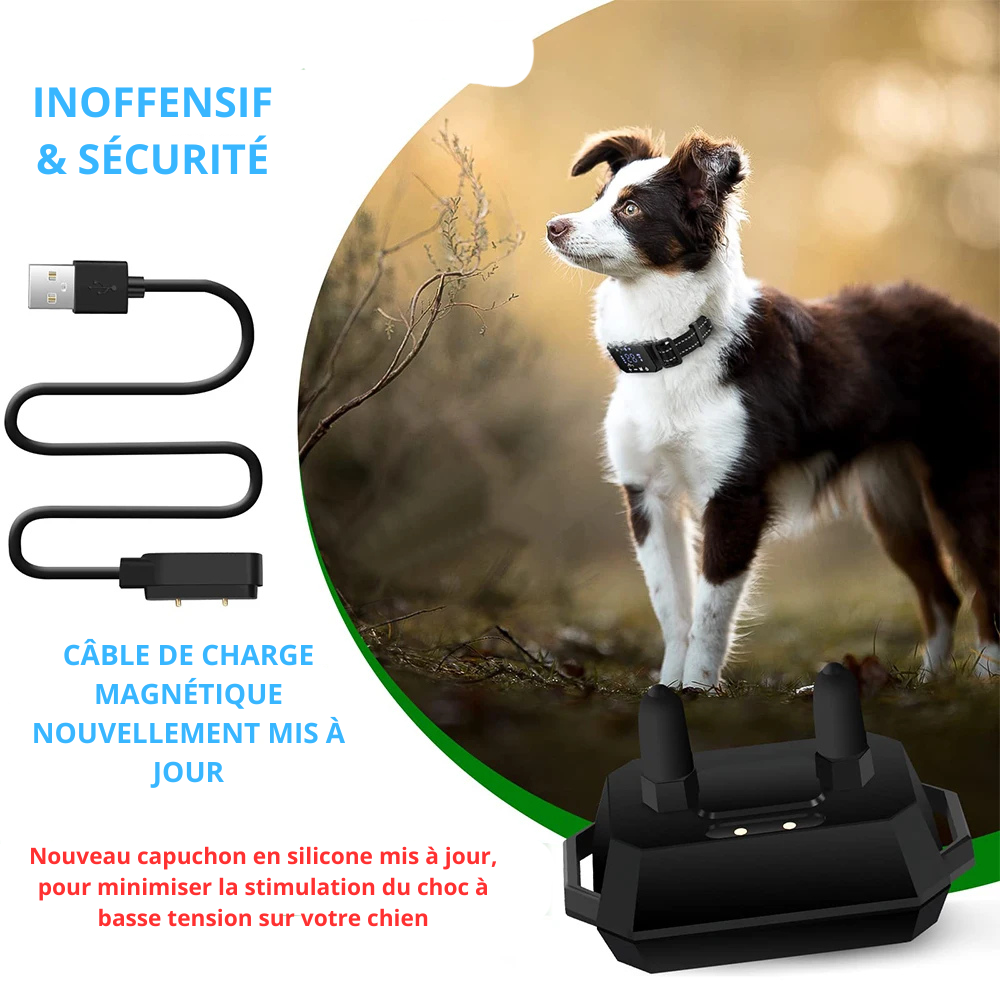 Clôture GPS Sans Fil pour Chien – Zone de Sécurité Invisible, Collier Rechargeable 30-1000m