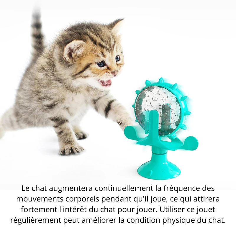 Jouet Interactif Multifonction pour Chat et Chien — Roue Rotative & Distributeur de Croquettes