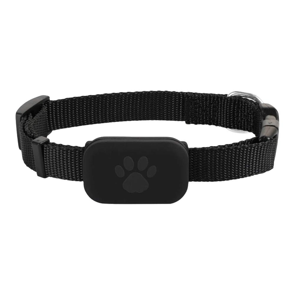 Tracker GPS Chien et Chat – Collier Anti-Fugue Ajustable, Suivi Temps Réel, Autonomie 12 mois