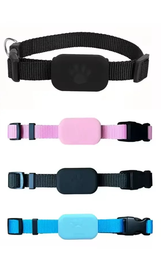 Tracker GPS Chien et Chat – Collier Anti-Fugue Ajustable, Suivi Temps Réel, Autonomie 12 mois