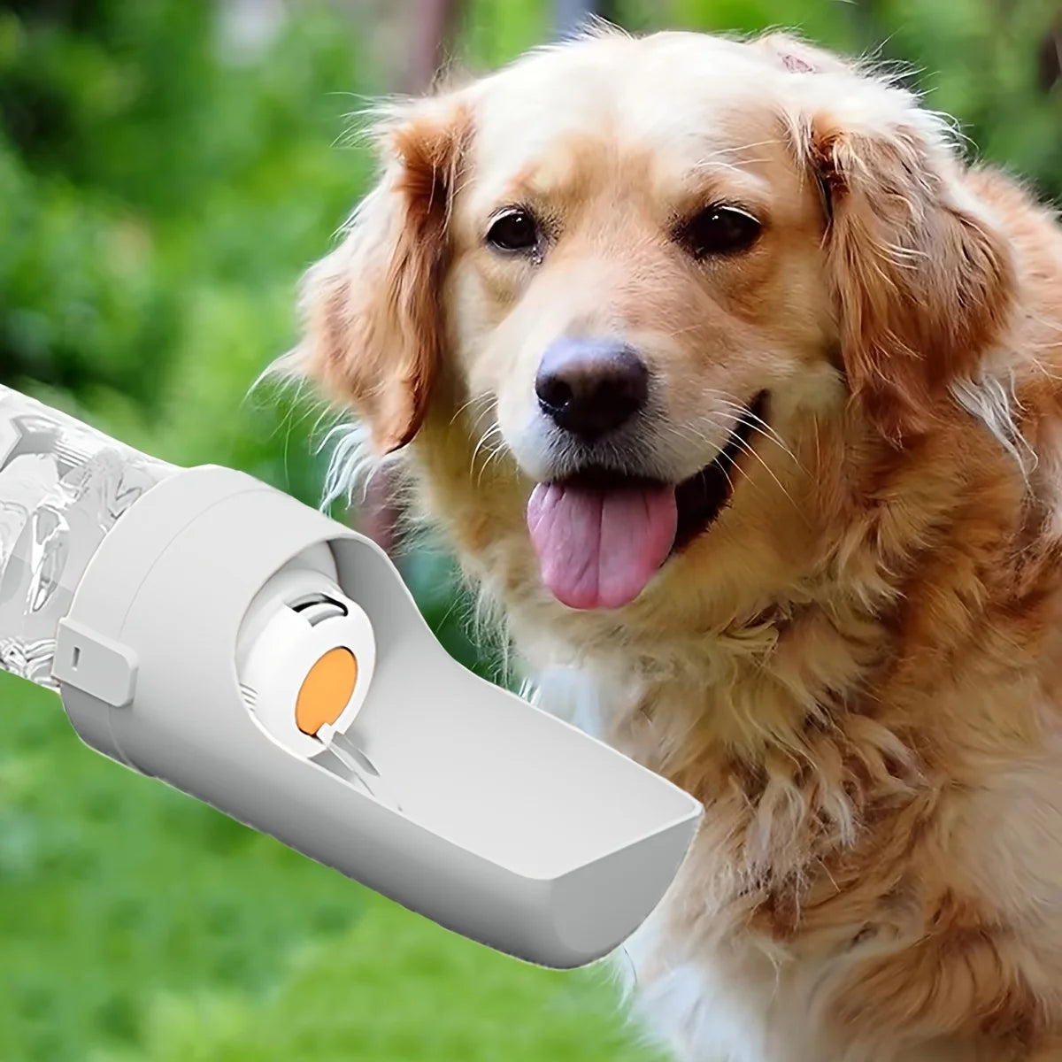 Gourde Portable pour Chien - Distributeur d'Eau Ergonomique pour Promenades et Voyages