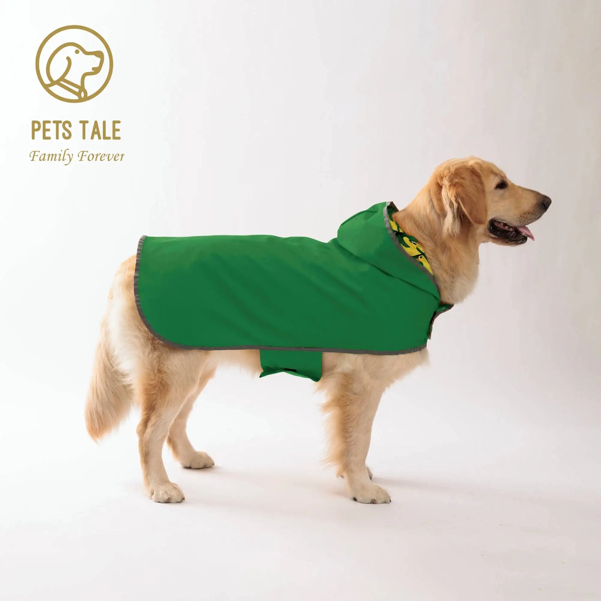 Imperméable pour chien pluie