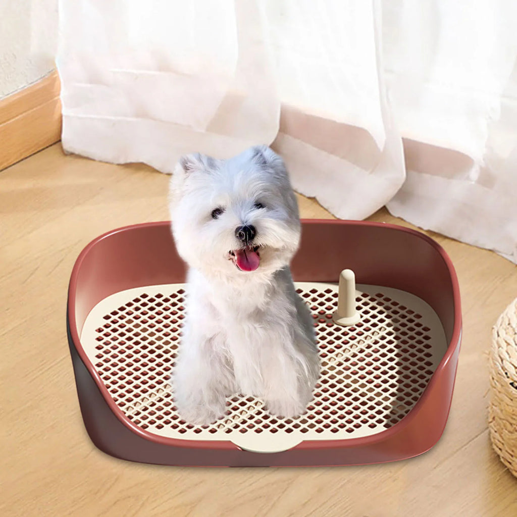Bac de Toilette pour Chien avec Grille Amovible - Plateau d'Entraînement Antidérapant