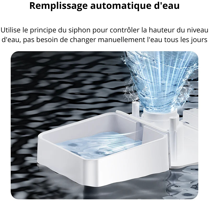 Distributeur automatique ROJECO – idéal pour chats et chiens au quotidien