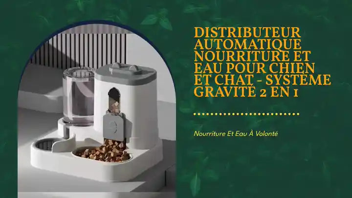 Distributeur Automatique Nourriture et Eau pour Chien et Chat 